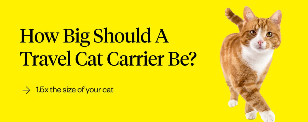 How to Make Flying With a Cat Easier, According to Experts and Owners