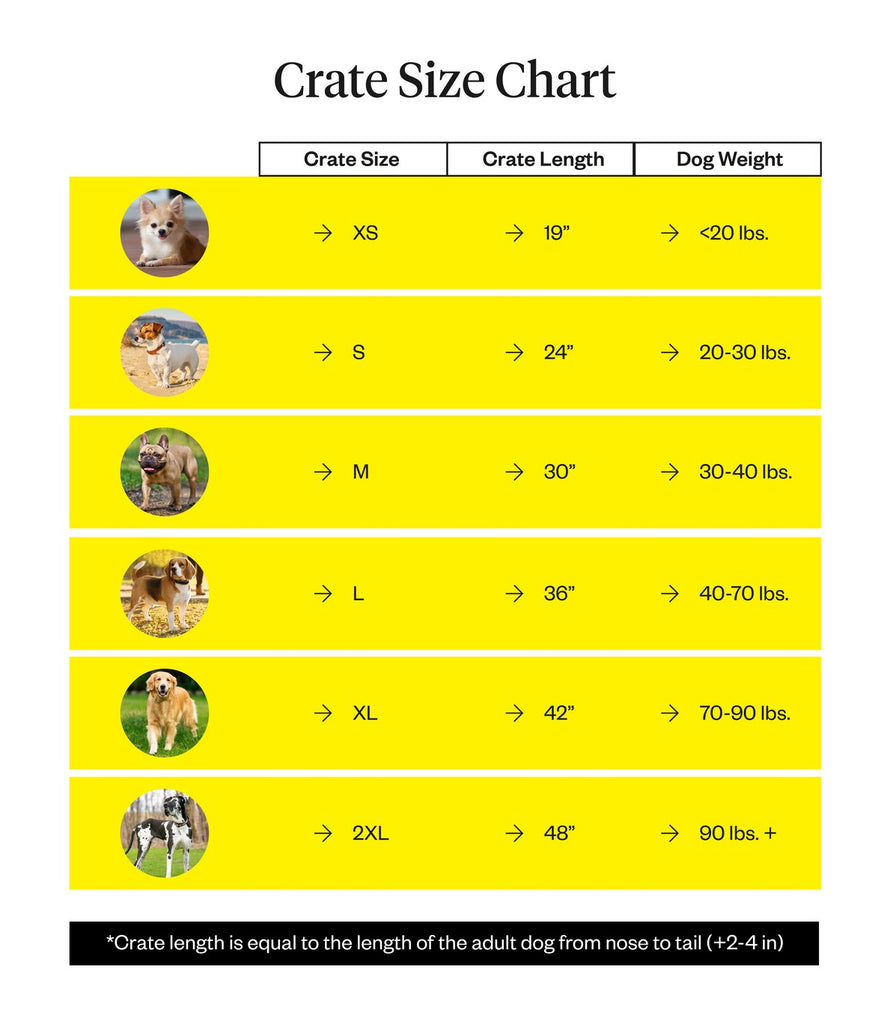 Dog Crates: How To Choose & Use Them | Dutch