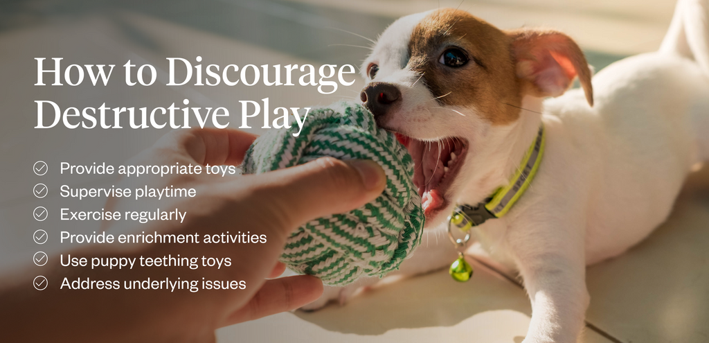 How to discourage destructive play in dogs