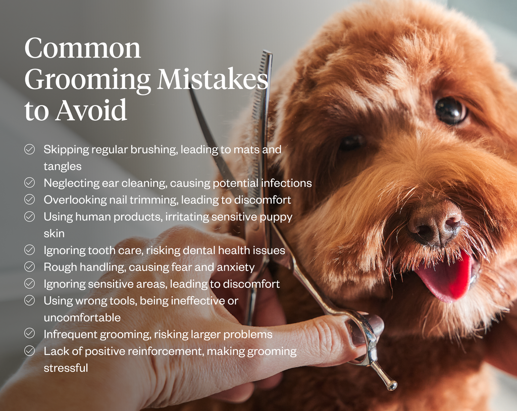 Common puppy grooming mistakes to avoid
