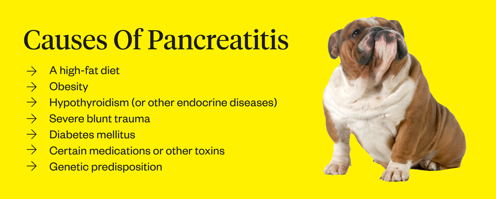 what dog food is best for a dog with pancreatitis