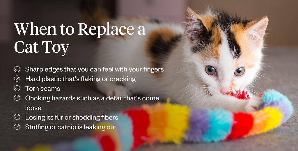 When to replace a cat toy.