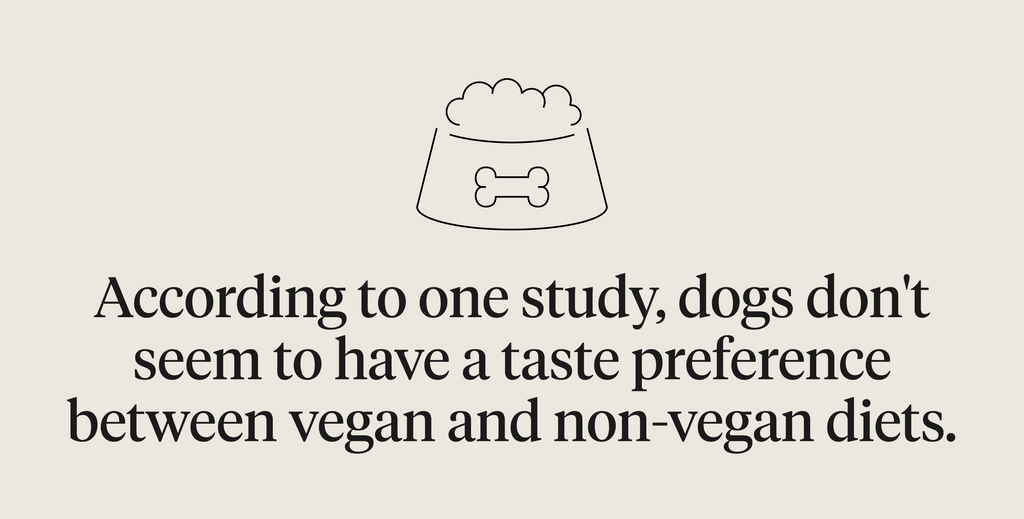 According to one study, dogs don’t seem to have a preference between vegan and non-vegan diets