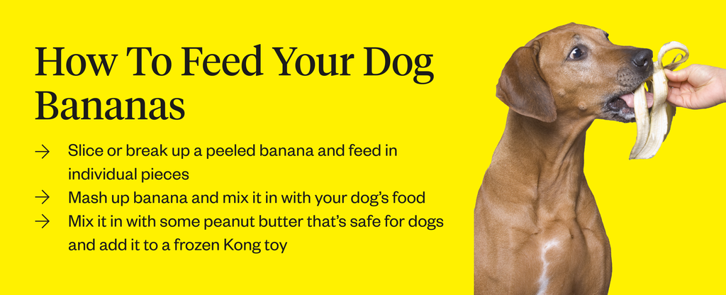 can i feed banana to puppy