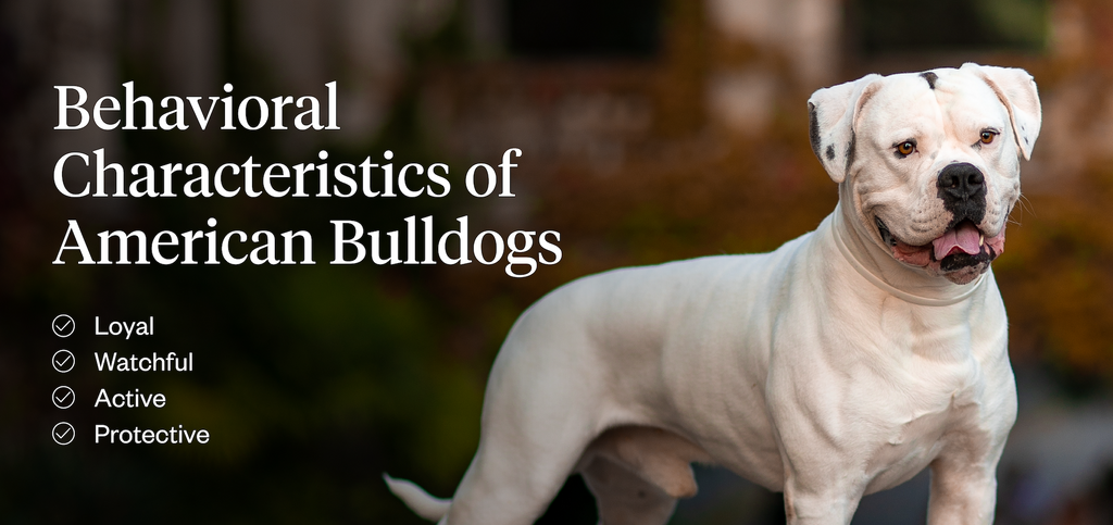 Behavioral Characteristics of American Bulldogs