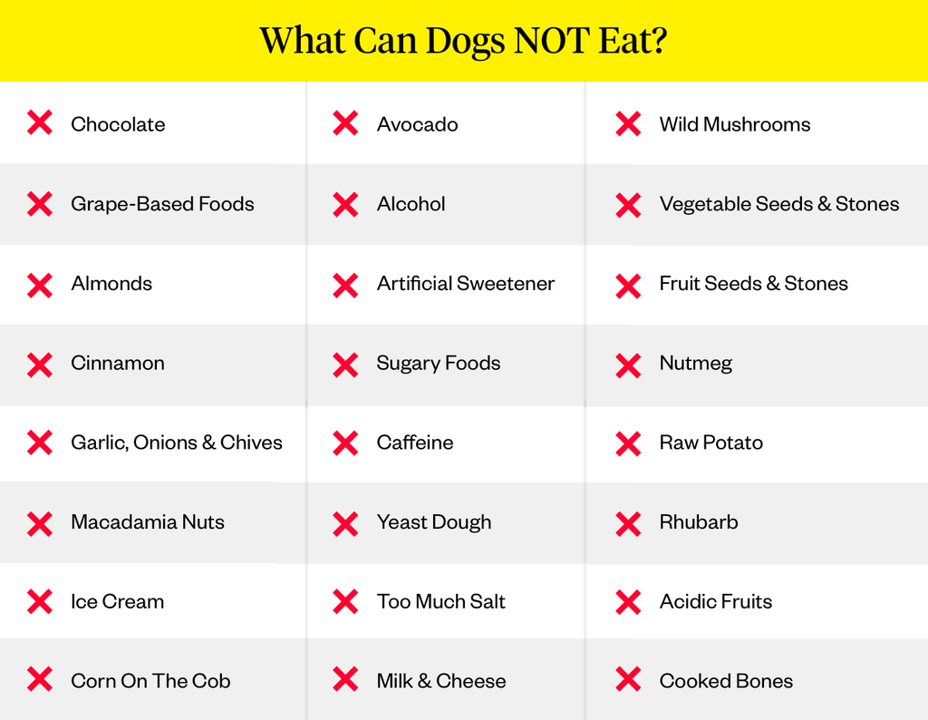 foods-dogs-cant-eat