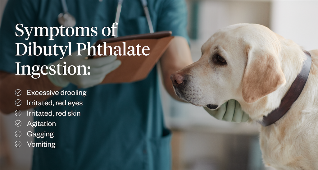 Symptoms of Dibutyl Phthalate Ingestion
