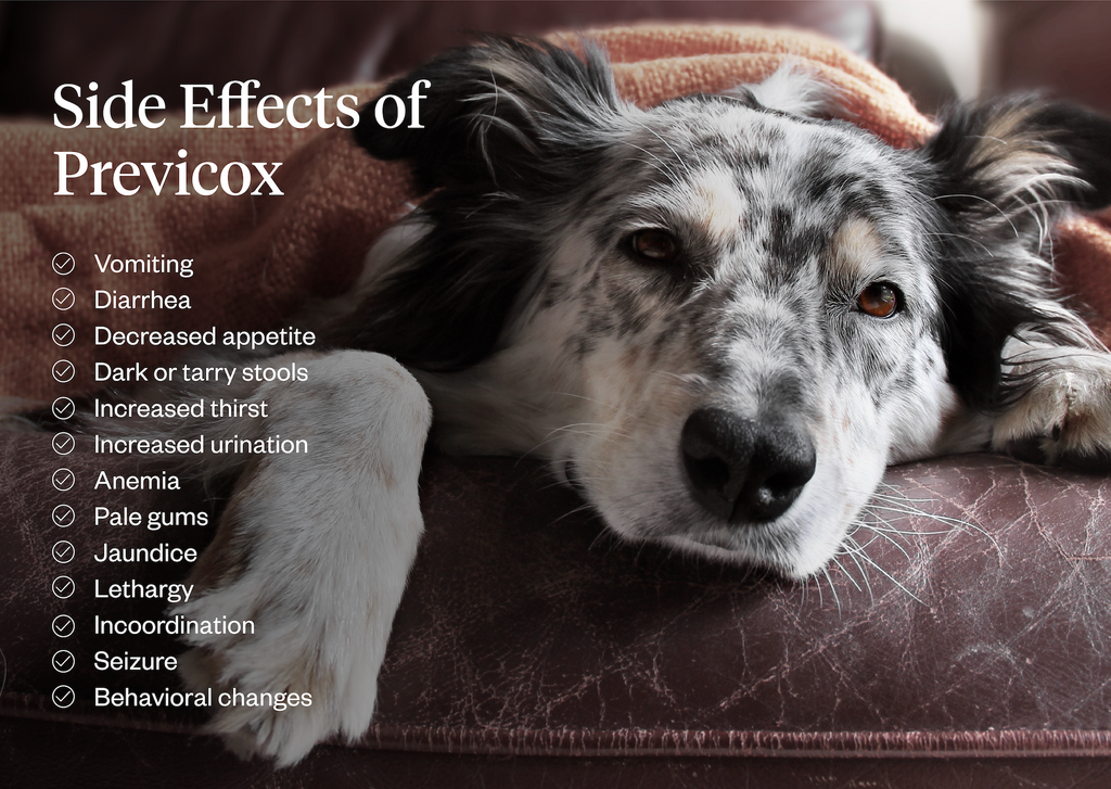 Side effects of Previcox