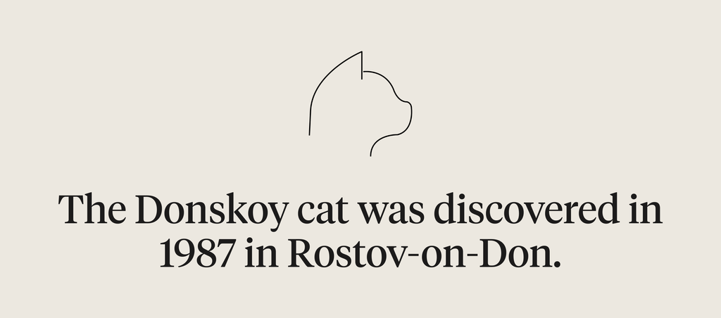 the donskoy cat was discovered in 1987 in Rostov-on-Don