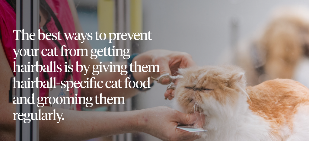 The best way to prevent your cat from getting hairballs is by giving them hairball-specific cat food and grooming them regularly.