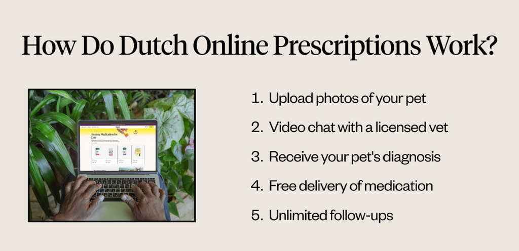 How do Dutch online prescriptions work?