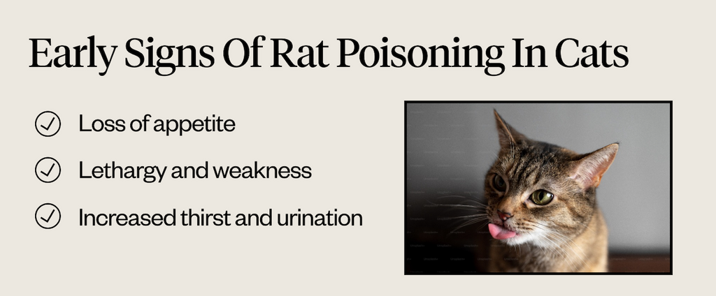 Early signs of rat poisoning in cats