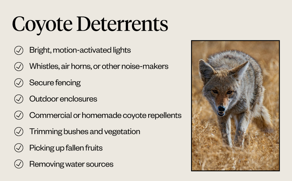 A list of coyote deterrents