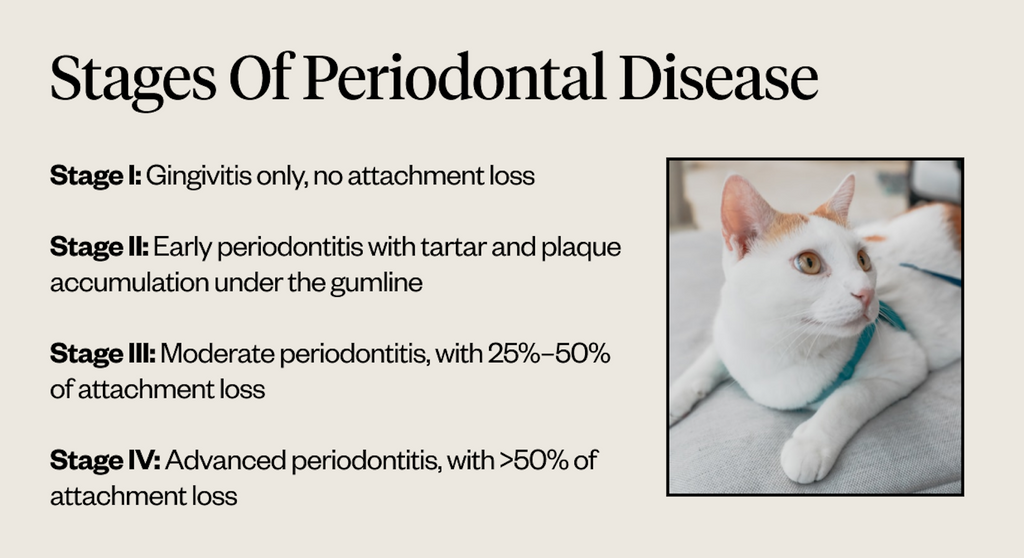 Stages of periodontal disease