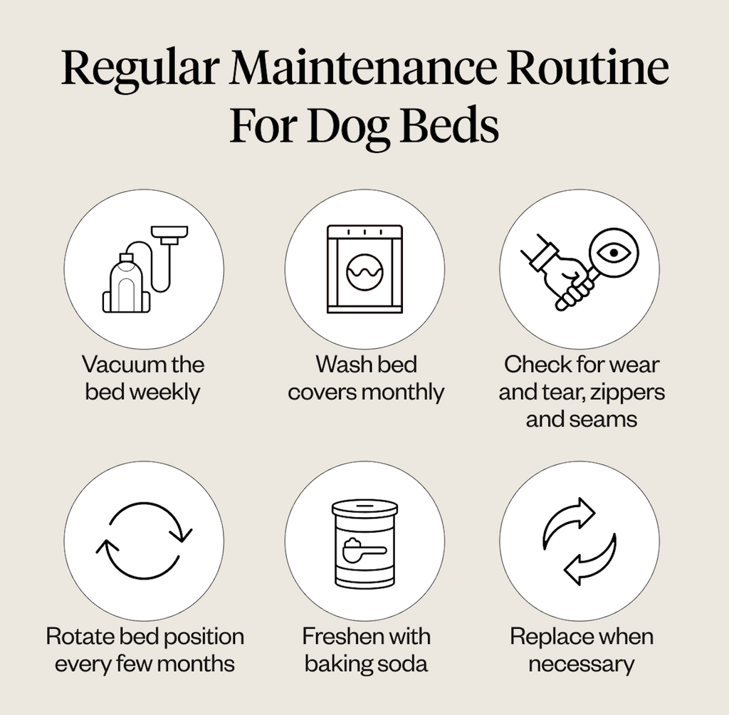 Regular maintenance for dog beds