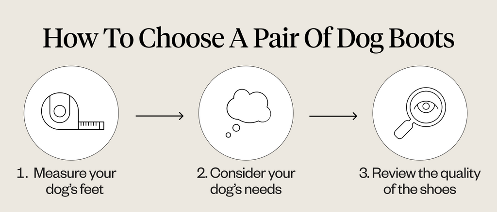 Do Dogs Need Boots? Guide To Dog Boots