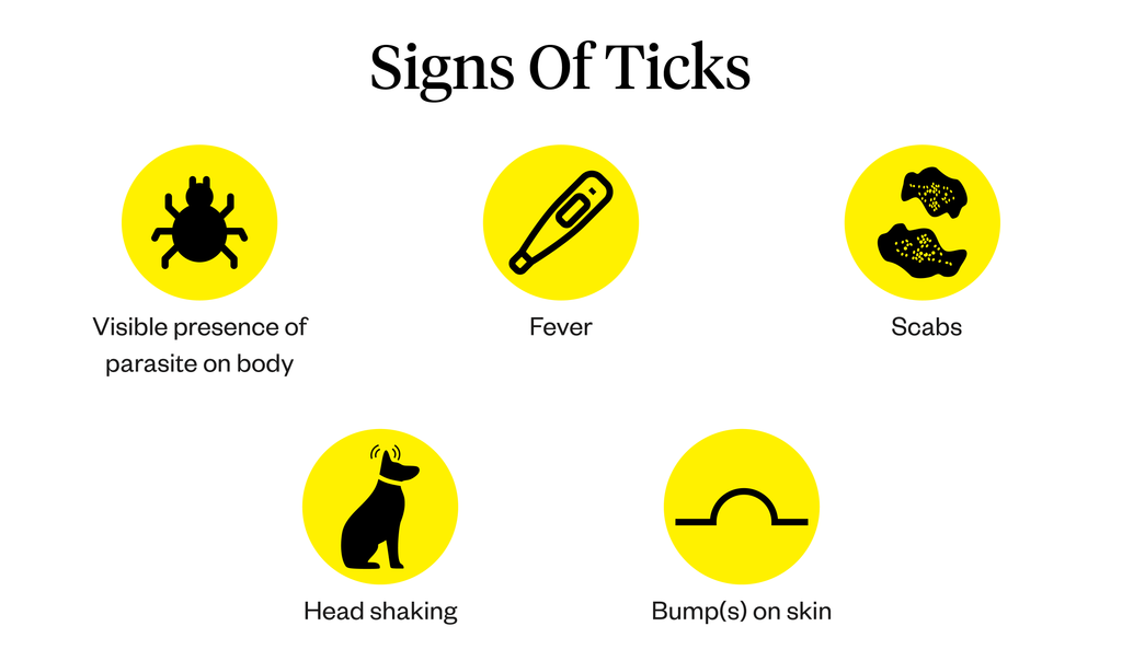 Graphic listing signs of ticks