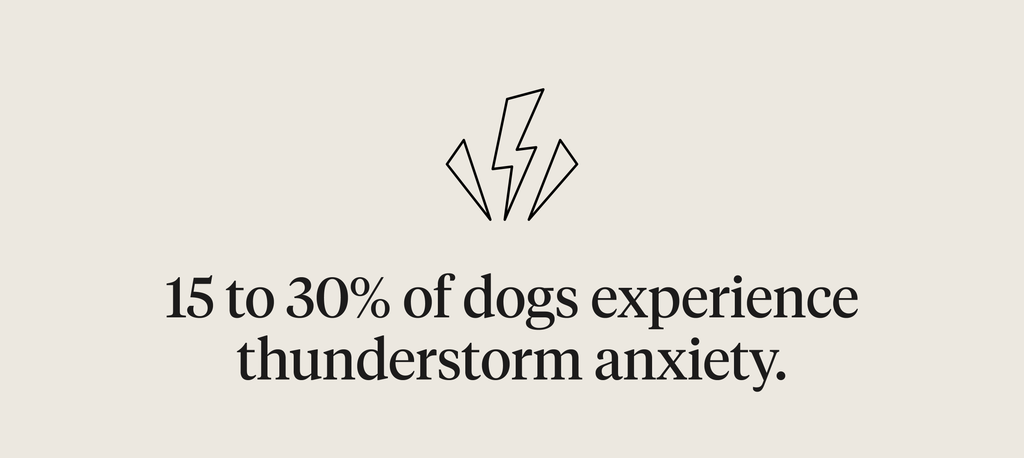 15-30% of dogs experience thunderstorm anxiety