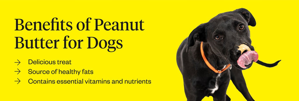 how often can dogs have peanut butter