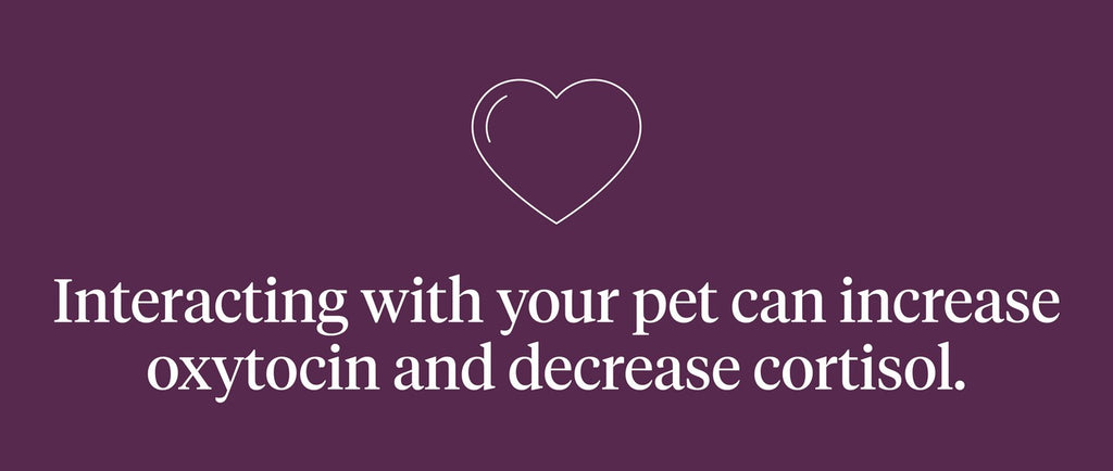 Interacting with your pet can increase oxytocin and decrease cortisol levels