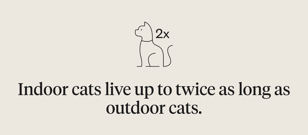 Indoor cats live up to twice as long as outdoor cats