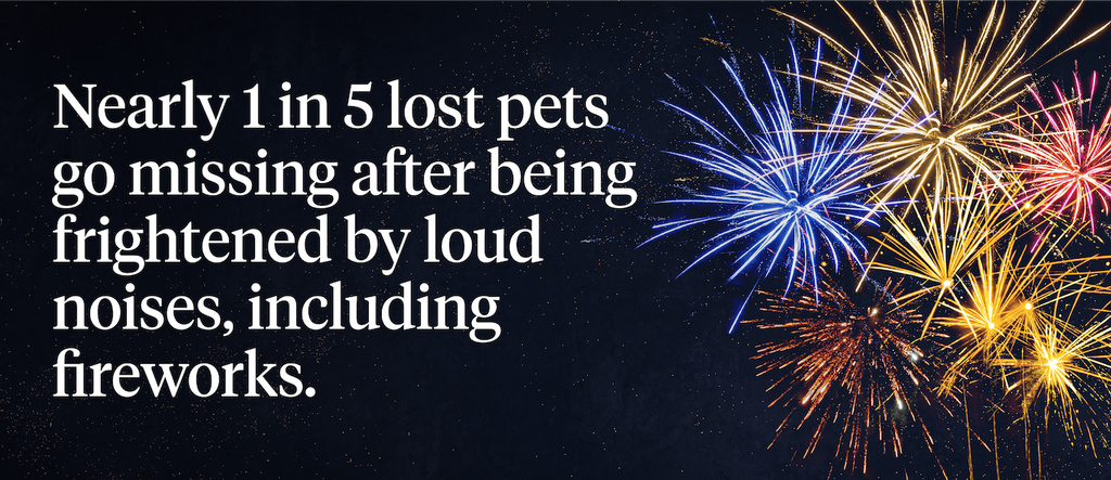 Nearly 1 in 5 lost pets go missing after being frightened by loud noises, including fireworks