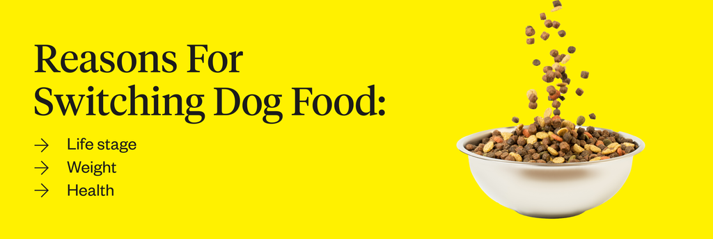 Reasons for switching dog food: life stage, weight, health