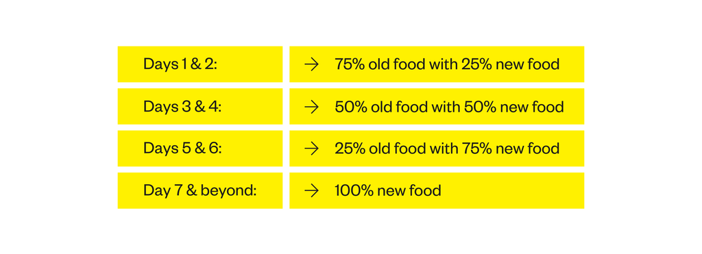 The schedule for changing dog food