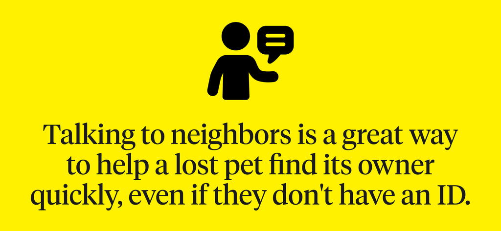 Talking to neighbors is a great way to help a lost pet find its owner quickly, even if they don’t have an ID