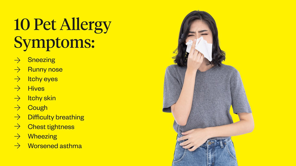 10 pet allergy symptoms