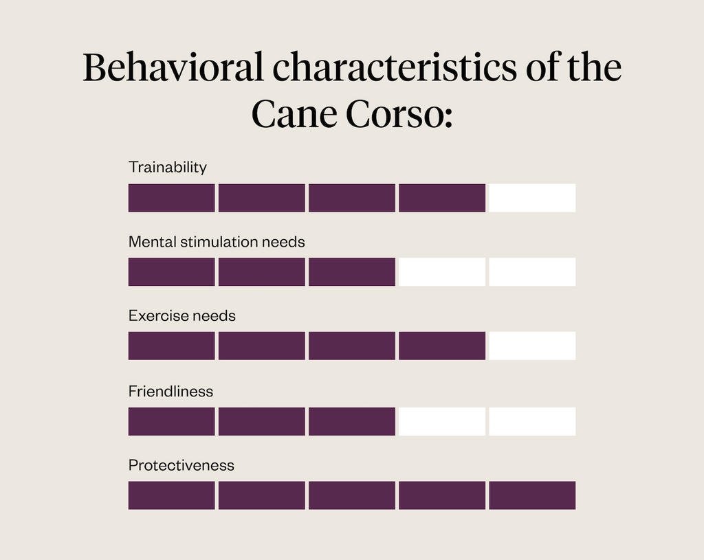 Behavioral characteristics of the Cane Corso