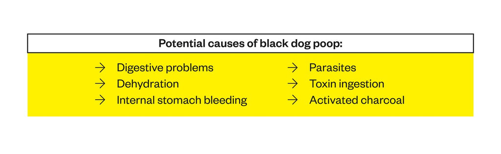 Potential causes of black dog poop