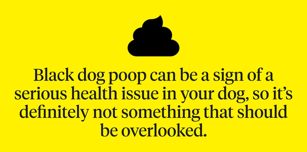 Black dog poop can be a sign of a serious health issue so it shouldn’t be overlooked