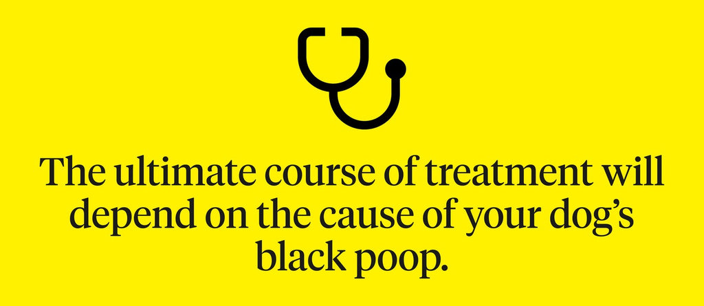 The ultimate course of treatment will depend on the cause of your dog’s black poop
