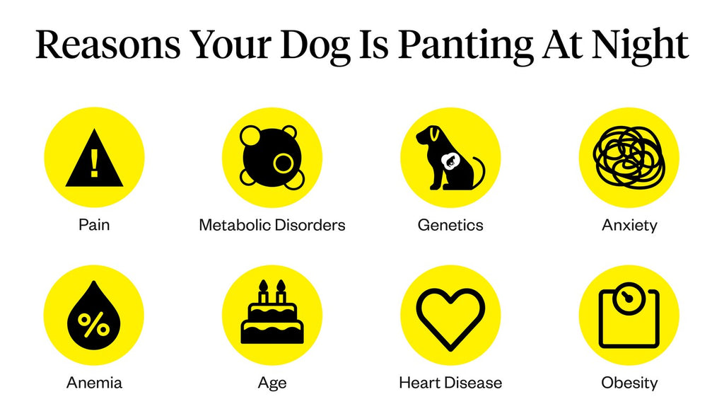 why is my dog panting excessively