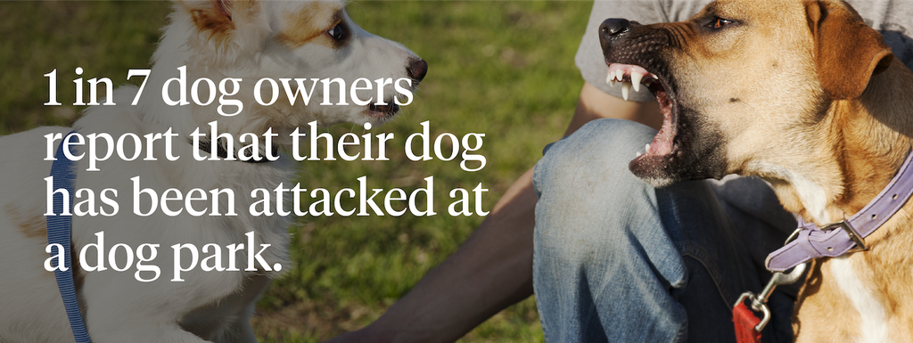 1 in 7 dog owners report that their dog has been attacked at a dog park