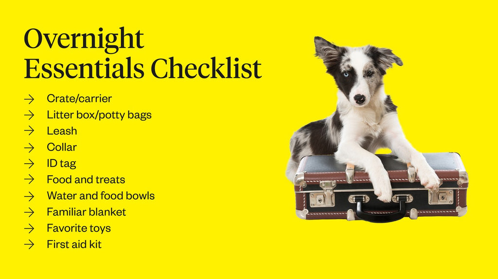 Pet-friendly hotel overnight essentials checklist