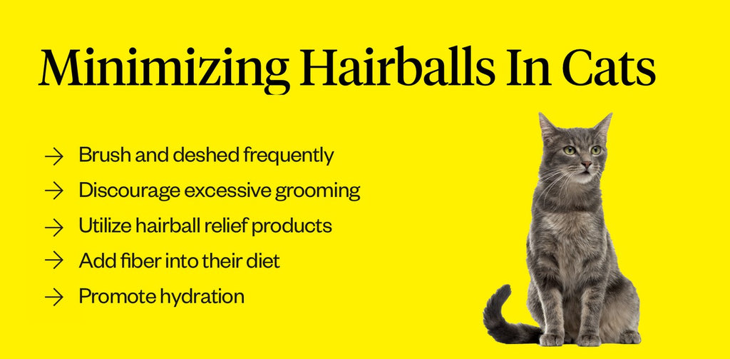 Hairballs in Cats - Symptoms, Causes, Diagnosis, Treatment