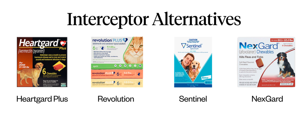 <p>Interceptor alternatives: Heartgard Plus, Revolution, Sentinel, NexGard</p> <p>&nbsp;</p>