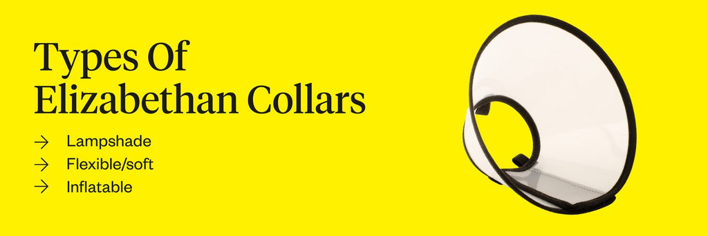 Types of Elizabethan collars