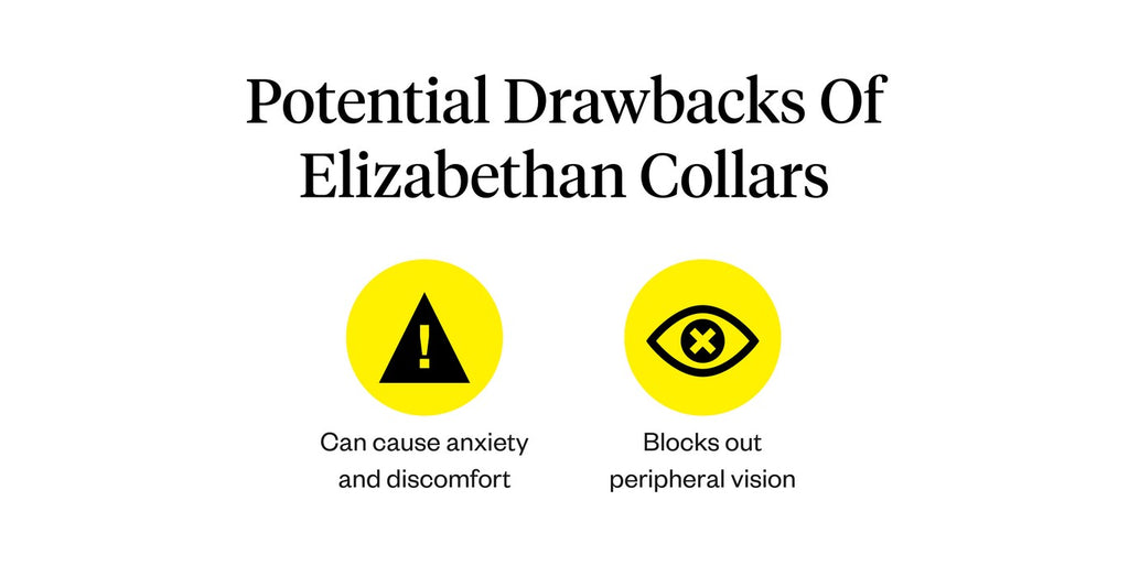 Potential drawbacks of Elizabethan collars