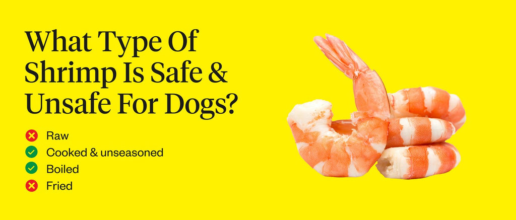 Can Dogs Eat Shrimp?  