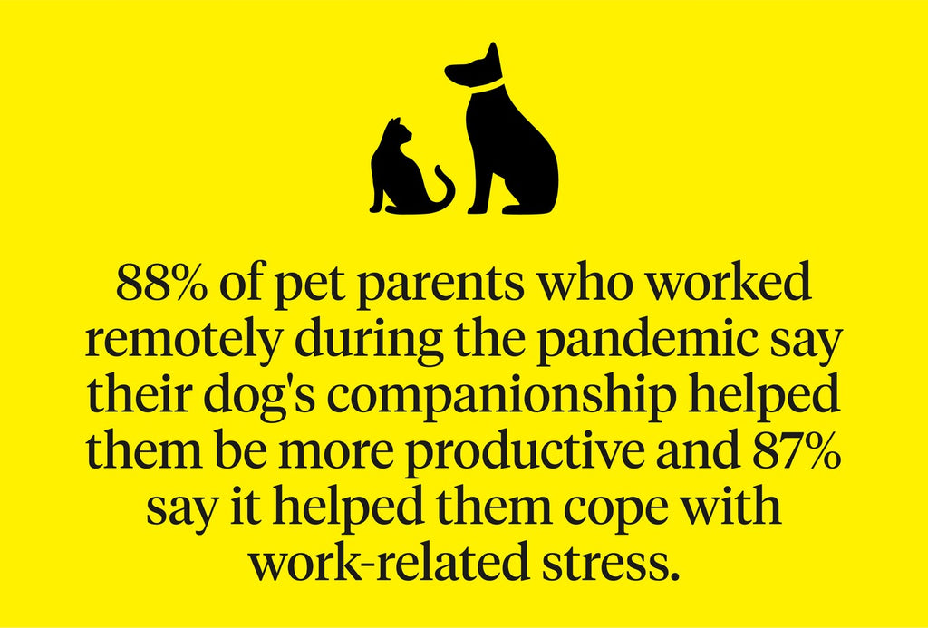 88% of pet parents who worked remotely during the pandemic say their dog’s companionship helped them be more productive and 87% say it helped them cope with work-related stress