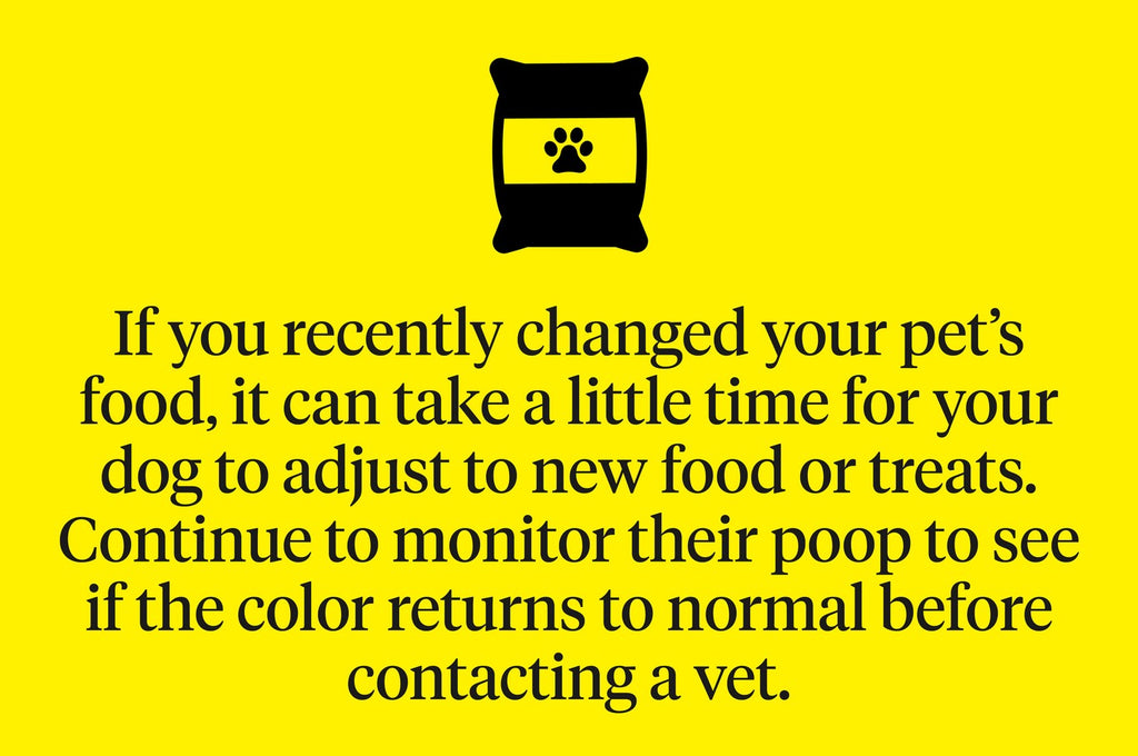 If you changed your dog's food, wait a few days before talking to your vet