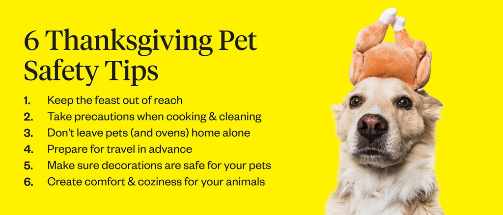 List of Thanksgiving pet safety tips