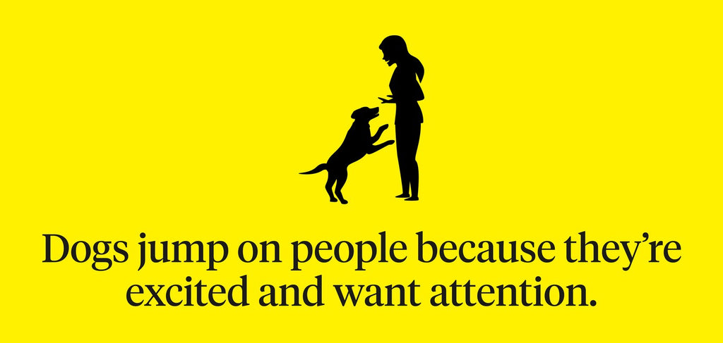 Alt-Text: Reason dogs jump on people