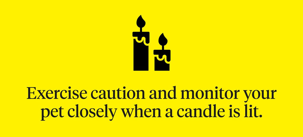 Exercise caution and monitor your pet closely when a candle is lit 