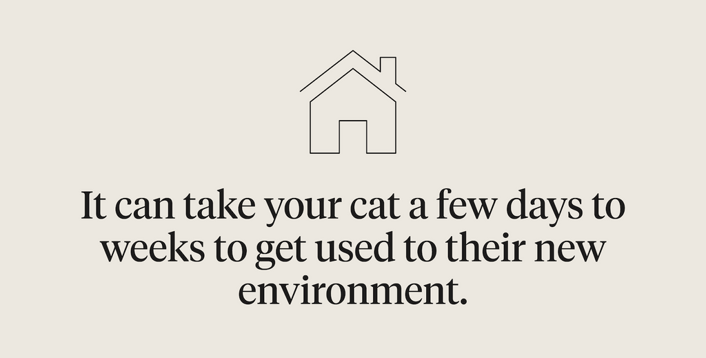 It can take your cat a few days to weeks to get used to their new environment