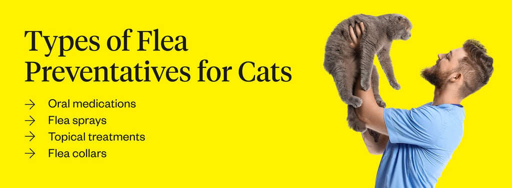 Types of flea preventatives for cats