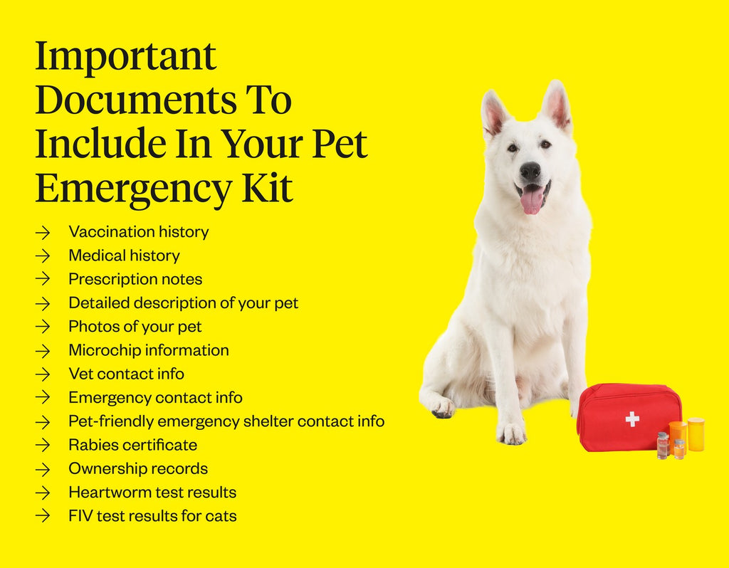 Important documents to include in your pet emergency kit